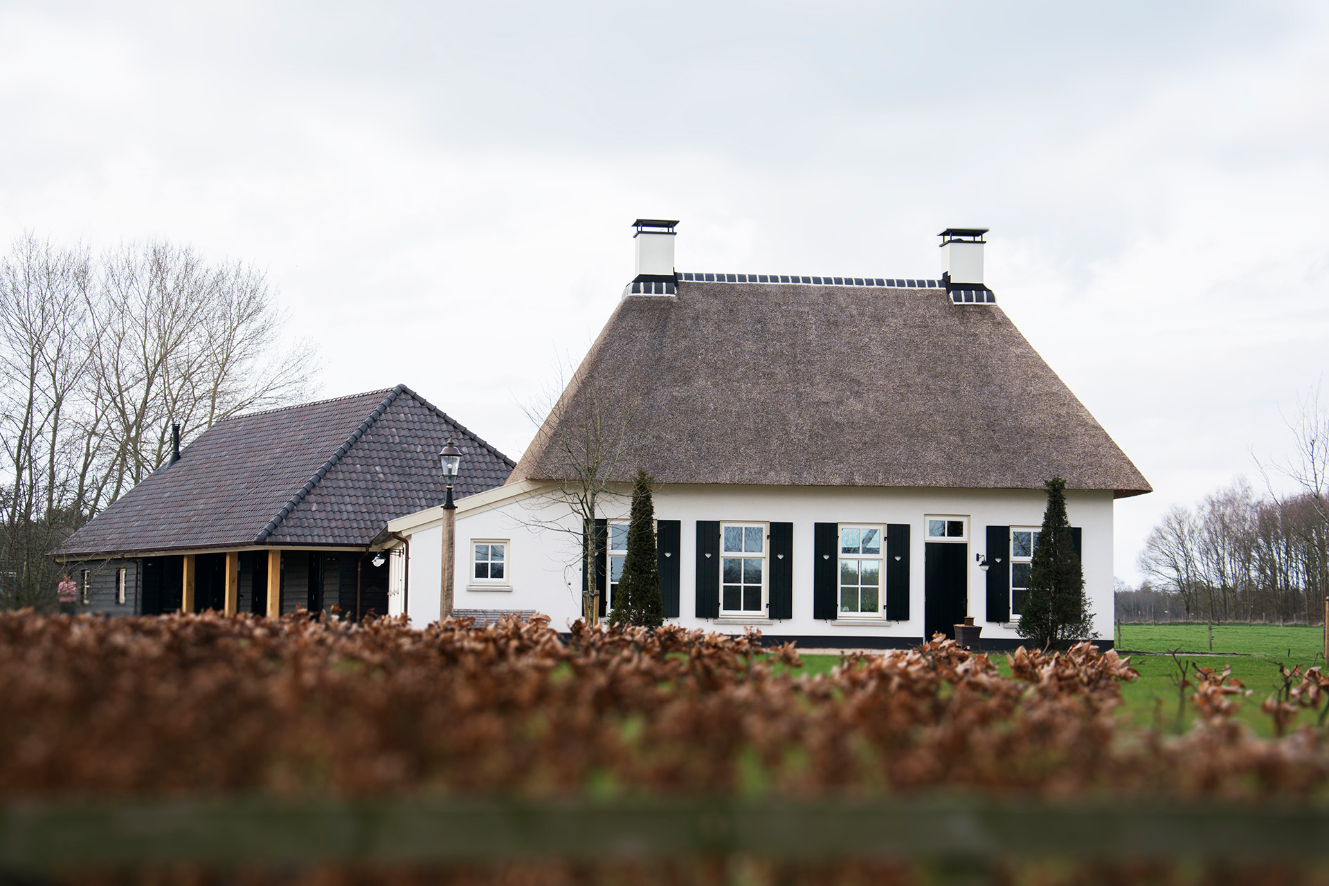 Woning Rheeze Afbeelding 1